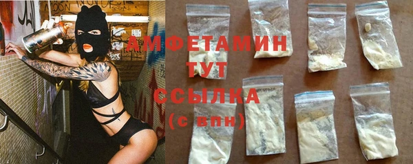 стаф Алзамай