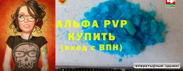 гидра Абаза