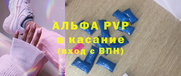 стаф Алзамай