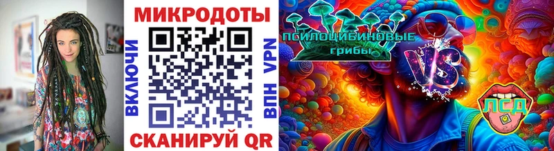 blacksprut зеркало  Сясьстрой  Галлюциногенные грибы Psilocybe 