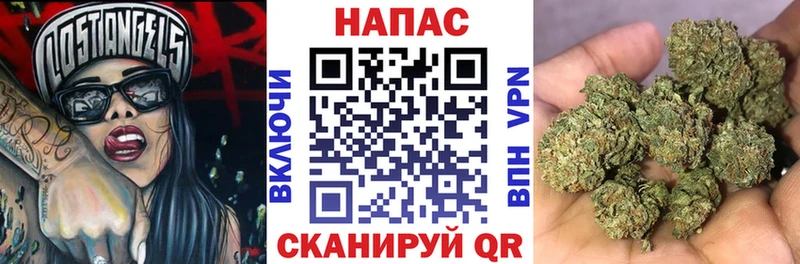 ОМГ ОМГ зеркало  Сясьстрой  МАРИХУАНА сатива 